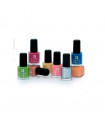 ESMALTE E.LLORCA COLORES VARIOS