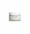 CAUDALIE VINOPERFECT CREMA PIEL RESPLANDOR