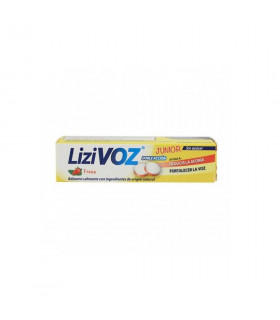 lizivoz