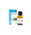 ESENCIAS EUCALIPTO HUMIDIFICADOR 15 ML