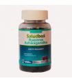 SALUDBOX  BYESTRES ASHWAGANDHA