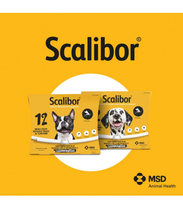 Collar Scalibor para Perros Grandes – 65 cm