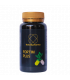FORTIMPLUS