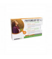 PHYTORELIEF CC 12 PASTILLAS