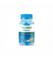 SALUDBOX MEMO BOTE 40 GOMINOLAS