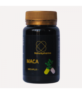 MACA