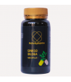 NATUR&PHARMA GINKGO BILOBA 60 CAPS. MGP
