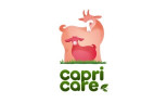 CAPRI